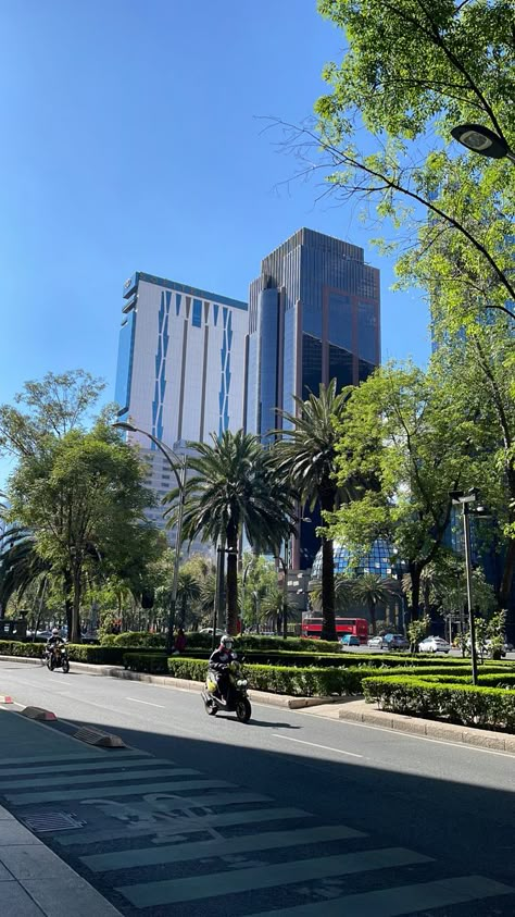 Mexico Streets, Polanco Mexico City, Day And Nite, Mexico City Travel, Quezon City, National Park Photos, México City, Cool Instagram Pictures, Beautiful Places On Earth