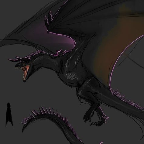 Black Dragon Concept Art, Fantasy Mounts Flying, Black Wyvern Art, Sheep Stealer Dragon, Wyvern Concept Art, Wyvern Oc, Black Wyvern, Black Dragon Art, Wyvern Art