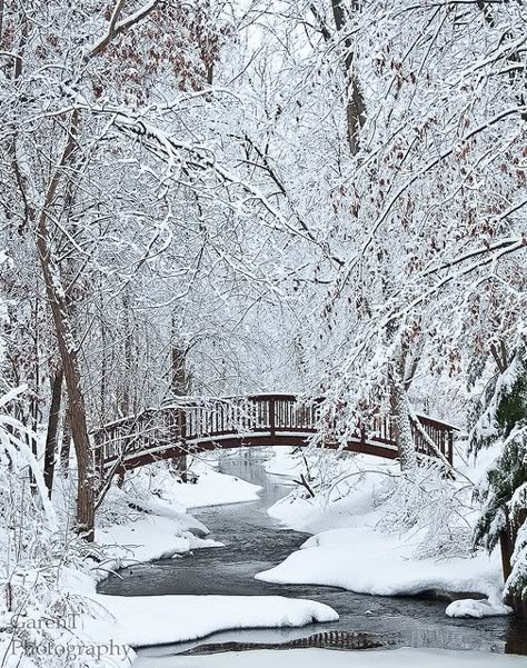 One of my favs of my brother's photos Snow Ideas, Era Victoria, Landscape Winter, Winter Schnee, Photography Winter, Winter Szenen, I Love Winter, Winter Photos, Winter Love