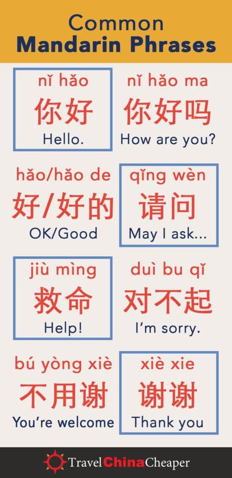 Common Mandarin Phrases, Mandarin Phrases, Chinese Speaking, Chinese Learn, Chinese Alphabet, Chinese Travel, Learn Chinese Characters, Bahasa China, Mandarin Lessons