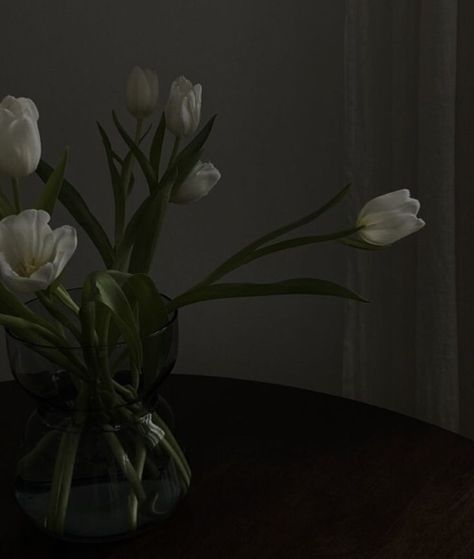 Finance Student, Minimal Photography, Aesthetic Flower, Aesthetic Minimalist, Gold Aesthetic, White Tulips, Minimalist Photography, Pretty Plants, Love Fashion