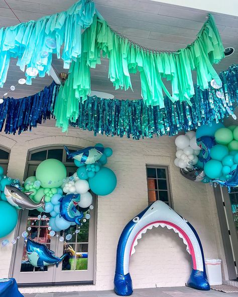 HOUSTON BALLOONS & BACKDROPS | Diving into summer 🦈🌊 Nothing like a shark party to kickoff a JAW-some summer break! ☀️ • #Houstonballoons #houstonballoondecor… | Instagram The Big One Birthday Party, Big One Birthday Party, Shark Decorations, Shark Birthday Party Ideas, Shark Theme Party, Twin Birthday Ideas, Axolotl Party, Sea Birthday Party Decorations, Backyard Halloween Party