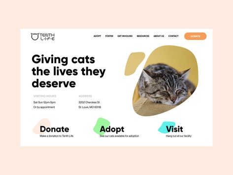 Cat Adoption Foundation Web Design ux design web design landing page website design donate shape blobs clean nonprofits adoption cats pets Pet Adoption Website Design, Cat Website Design, Pet Website Design, Adoption Website, Nonprofit Website, Cat Website, Conference Design, Nyc Design, Best Web Design