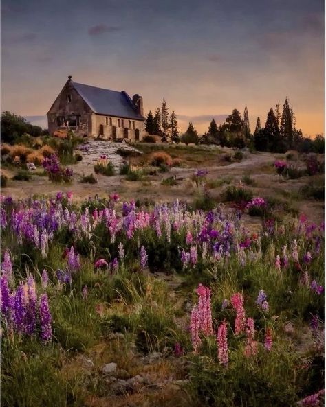 Lake Tekapo, New Zealand. Lake Tekapo New Zealand, Tekapo New Zealand, Beach Sessions, Dream Places, Embroidery Projects, Places To Go, New Zealand, Beautiful Places, Lake