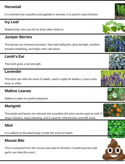 Warriors Medicine Cat Herbs, Warrior Cats Medicine Cat Oc, Warrior Cats Herb Guide, Warrior Cats Herbs, Warrior Cats Medicine Cat Guide, Warriors Memes, Cat Medicine, Cat Website, Warrior Cat Names