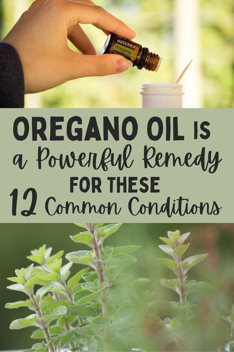 Nail Infection Oregano Oil For Respiratory, Oregano Essential Oil Recipes, Oregano Oil For Cough, Oregano Oil For Toenail Fungus, Oregano Oil On Feet Immune System, Oil Of Oregano For Colds, Oregano Oil For Sinus Infection, Oil Of Oregano Capsules Benefits, Oregano Olive Oil Antibiotic