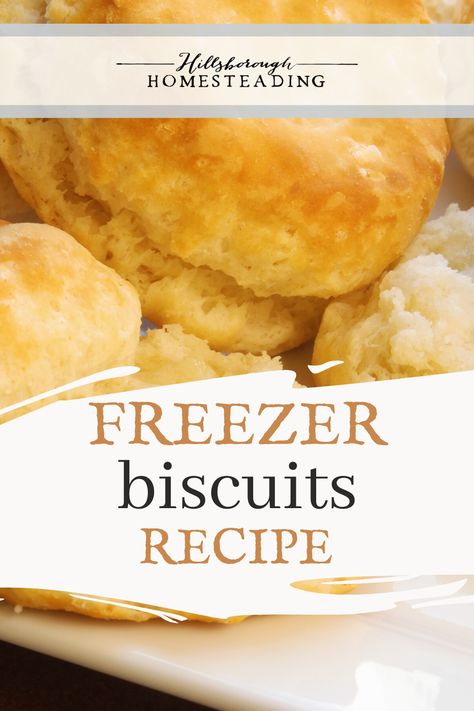 Homemade Biscuits To Freeze, Freezer Rolls Make Ahead, Frozen Biscuits Recipes, Make Ahead Biscuits, Freezer Stocking, Freezer Biscuit Recipe, Homemade Freezer Biscuits, Freezer Biscuits, Yeast Biscuits