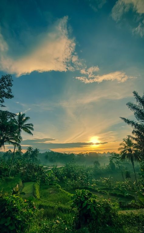 Morning View Nature Sunrises, Sun Rise Photography Mornings, Morning Scenery Sunrises, Sun Rise Pictures Mornings, Morning View Aesthetic, Good Morning View, Morning Sunrise Aesthetic, Tree Stump House, Morning Background