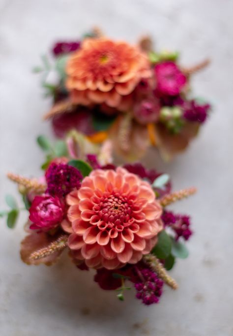 Modern wrist corsage cuffs made with colorful flowers, including coral dahlias, pink strawflowers, and peach amaranth.  Flowers grown and designed by Love 'n Fresh Flowers, a flower farm in Philadelphia. | Photo by Love 'n Fresh Flowers Coral Corsage And Boutonniere, Wrist Cuff Corsage, Dahlia Corsage Wedding, Cuff Corsage Prom, Pink Wrist Corsage Homecoming, Bright Wrist Corsage, Dahlia Wrist Corsage, Pink And Red Corsage, Colorful Corsage Wedding