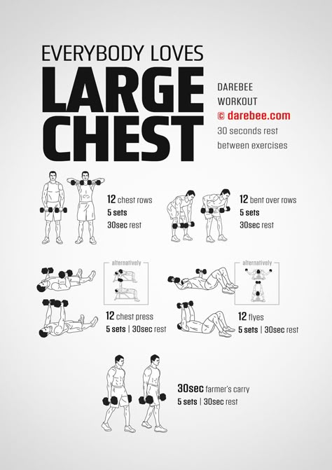 Everybody Loves Large Chest Workout Chest Day Dumbbell Workout, Dumbell Home Workout For Men, Darebee Chest, Best Dumbbell Chest Workout, Floor Chest Workout, Chest Workouts Dumbbell, Dumbbell Workout For Chest, Standing Chest Dumbell Workout, Chest Workout Beginner