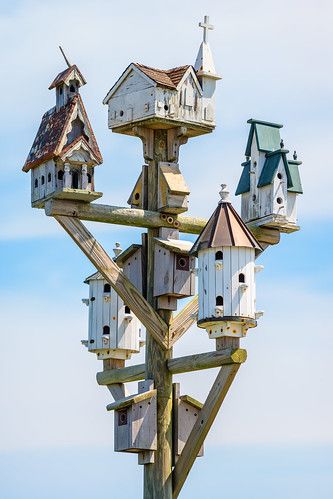 Birdhouse Projects, Homemade Bird Houses, Beautiful Birdhouses, Bird Houses Ideas Diy, Garden Birdhouses, Wooden Bird Houses, Bird House Plans, Unique Bird Houses, Bird Houses Painted