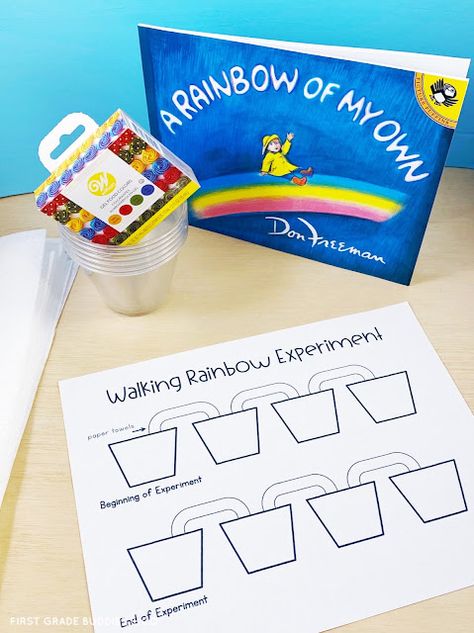 First Grade Experiments, Science Experiments Second Grade, Fun Activities For 1st Grade, Rainbow Day Kindergarten, Art 1st Grade, Rainbows For Kindergarten, Rainbow Learning Activities, Rainbow Kindergarten, Easy First Grade Science Experiments