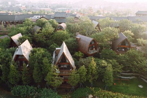 Chinese Hotel, Deconstructivism, Tree Canopy, Guilin, Wooden Cabins, Hotel Project, Thatched Roof, Chongqing, Sanya