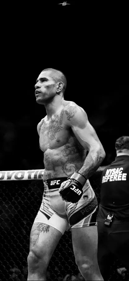 Alex Pereira Wallpaper, Walking Wallpaper, Bjj Wallpaper, Alex Pereira, Gym Wallpaper, Ufc Boxing, Legendary Pictures, Boxing Posters, Messi Vs