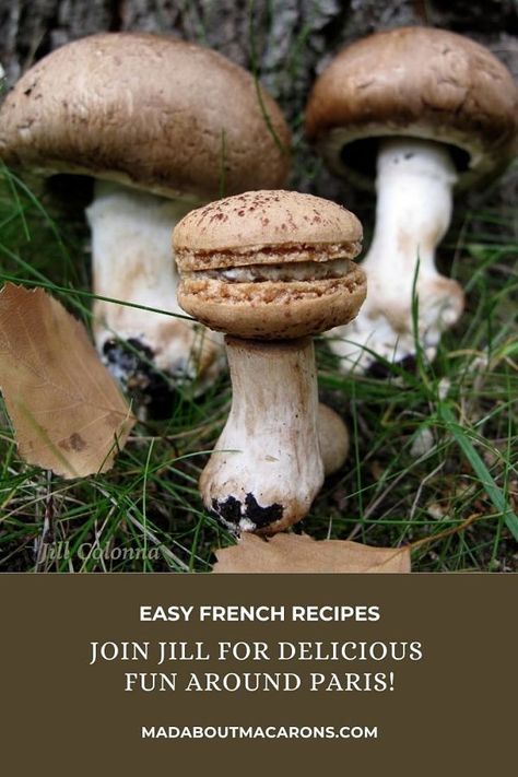 Mushroom Macarons, Savoury Macarons, Savory Macarons, Parisian Macarons, French Mushroom, Macarons Easy, Mushroom Truffle, Truffle Filling, Fancy Recipes