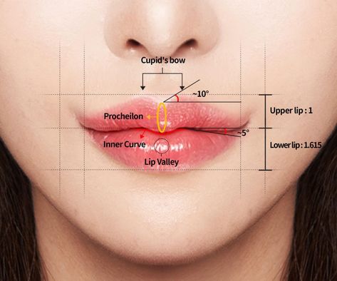 How To Get Heart Shaped Lips, Type Of Smiles, Smile Types, Heart Shaped Lip Filler, Types Of Lips, Heart Lips, Korean Cherry Lips Filler, Lip Filler Shape Ideas, Lip Filler Bow Shape