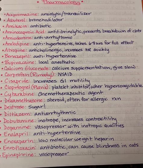 Veterinary Technician Aesthetic, Vet Tech Organization, Vet Study Notes, Vet Tech Tips, Veterinary Science Project Ideas, Vet Student Notes, Vet Assistant Notes, Veterinarian Notes, Vet Tech Prep