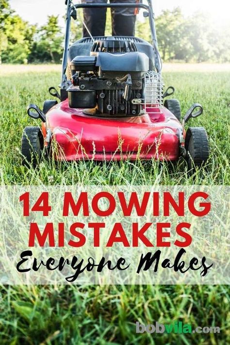 Lawn & Garden, Mowing The Lawn Tips, Homesteading Equipment, Flower Bed Decor Ideas, Mowing Business, Patio Ideas Backyard, Mowing Grass, Ideas Backyard Patio, Terrace Gardens