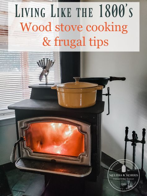 Season Cast Iron Pan, Season Cast Iron, Living Frugal, Homestead Kitchen, Wood Stove Cooking, Wood Stove Fireplace, Living Skills, Homesteading Skills, Cooking Stove