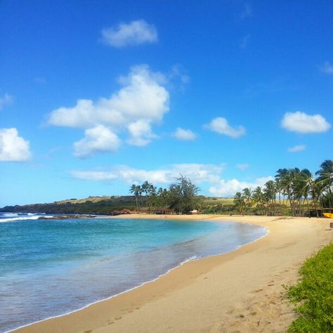 salt pond beach, kauai, hawaii, usa Salt Ponds, Hawaii Usa, Kauai Hawaii, Kauai, Hawaii, Salt, Water, Travel