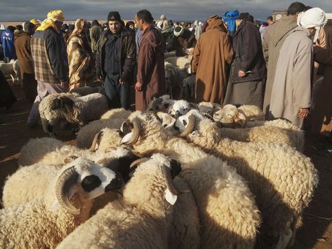 Eid Al-Kabir - Morocco's Most Significant Holiday of the Year Eid El Kabir, Eid Ul Adha Images, Eid Mubarak Status, Eid Mubarak Quotes, Islamic Celebrations, Eid Ul Azha, Eid Adha, Eid Mubarak Images, Moroccan Cooking