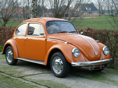 Volkswagen Convertible, Volkswagen Beetle Vintage, Vw Super Beetle, Super Beetle, Volkswagen Beetles, Classic Volkswagen, Beetle Car, Vw Beetle Classic, Beetle Convertible