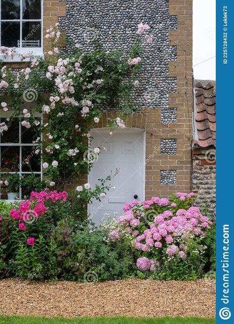 Pink Climbing Roses, Roses Growing, Norfolk Uk, Rose Border, North Norfolk, Beautiful Borders, Pink Hydrangeas, Beach Garden, Growing Roses