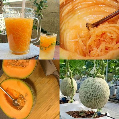 MELON SA MALAMIG (Cantaloupe Juice) Fancy Smoothies, Honeydew Melon Recipes, Cantaloupe Juice Recipes, Cantaloupe Water, Cantaloupe Drink, Cantaloupe Juice, Open A Coconut, Melon Juice, Cantaloupe Recipes