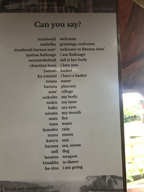 Learn how to say words and speak like Kalinago Carib people Kalinago Tattoo, Kalinago People, Travel Language, Saint Vincent And The Grenadines, Say Word, Saint Vincent, How To Say, Anthropology, Love You