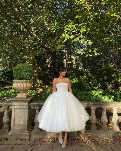 Paolo Sebastian Bridal, Paolo Sebastian Wedding Dress, Mishti Rahman, Ethereal Dresses, Swan Wedding, Swan Lake Ballet, Paolo Sebastian, Classy Couple, Formal Wear Dresses