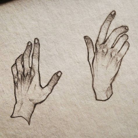 Maria Magdalena Bochnak on Instagram: “Started doing some hand studies today, expect more in the future ✨ . . . . #study #hands #sketch #pencil #pencilsketch #palm #art #artwork…” Hands Sketch, Shading Practice, Hand Studies, Palm Art, Human Body Drawing, Maria Magdalena, Sketch Pencil, Anatomy Sketches, Gesture Drawing