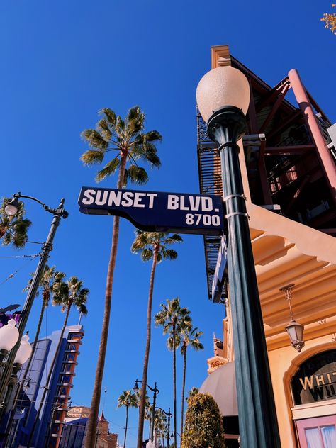 Sunset boulevard | disneyland | california adventure | hollywood | disney | inspo | Los Angeles Sunset Boulevard, Sunset Boulevard Aesthetic, West Hollywood Aesthetic, Disneyland Aesthetic California, Disneyland California Aesthetic, Disneyland Hollywood, Los Angeles Disneyland, 50s Lifestyle, Los Angeles Sunset