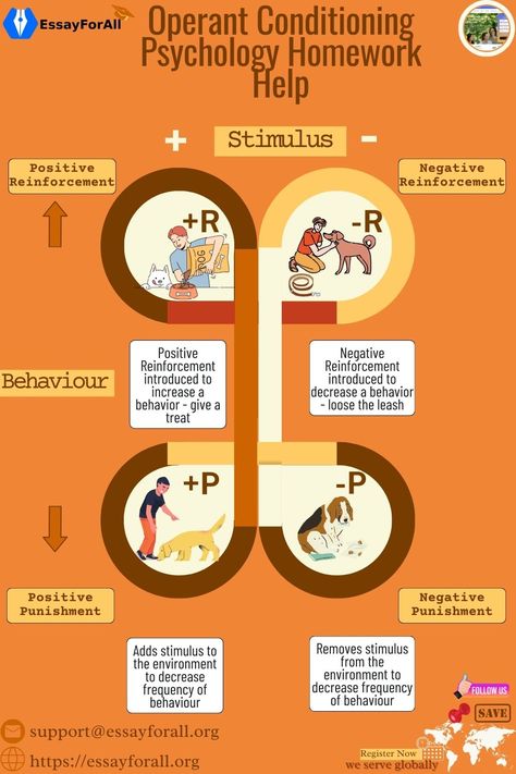 If you need timely, affordable, and professional operant conditioning homework help, place your order now!  

We have competent tutors with good operant conditioning knowledge who can handle various psychology assignment questions. 

Dive into the article to learn more and practise DIY Operant Conditioning Psychology, Branches Of Psychology, Operant Conditioning, Psychology Studies, Cognitive Psychology, Developmental Psychology, Homework Help, Positive And Negative, Psych