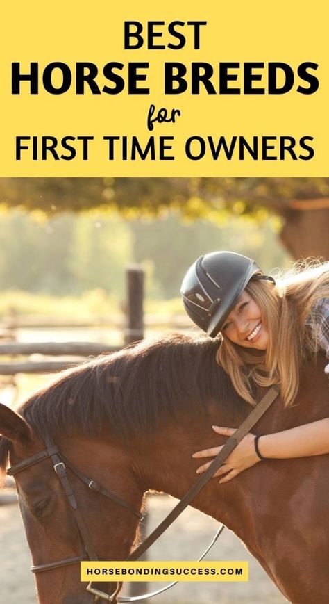 Best Horse Breeds For Beginners, First Time Horse Owner, Horse Breeds For Beginners, Horse Bonding, Best Horse Breeds, Simple Horse Barns, Horse Farm Layout, Trail Riding Horses, Montana Cabin