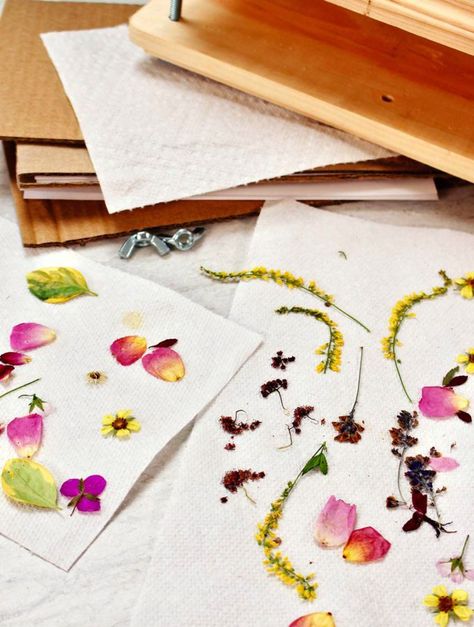 Here are 4 Ways to Press Flowers and preserve those beautiful blooms to use in craft projects that are full of memories. #HowtoPressFlowers #WelcometoNanas #FlowerHammering #HowToDryFlowers Pine Cone Seeds, Spring Kids Craft, Diy Flower Press, Microwave Flower Press, Pounded Flowers, Hammered Flowers, Pressed Flower Cards, Wax Letter Seal, Press Flowers