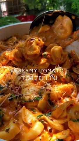 Grilled chicken Alfredo pasta is a delicious and popular dish that com... | chicken alfredo pasta | TikTok Broccoli Mac And Cheese Recipe, Creamy Tomato Tortellini, Boil Cook, Tomato Tortellini, Fettuccine Recipes, Roasted Tomato Sauce, Tortellini Pasta, Seasoning Salt, Sun Dried Tomatoes