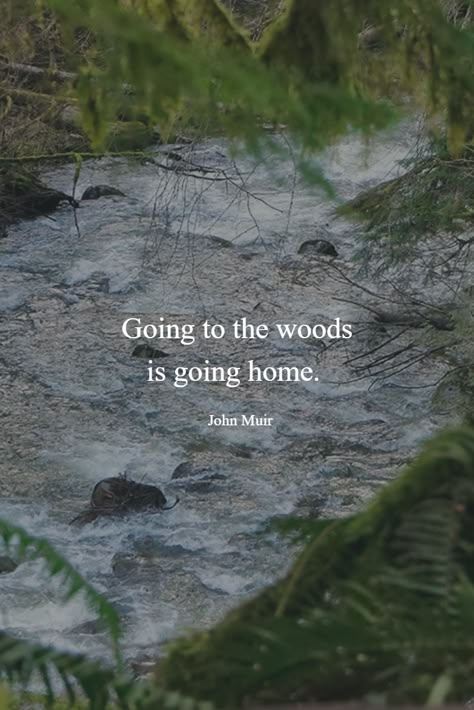 Going to the woods is going home. ~ John Muir  #quotes #muir #woods Citation Nature, Forest Quotes, Into The Woods Quotes, Nature Quotes Adventure, John Muir Quotes, Muir Woods, Camping Quotes, Quotes Nature, Festival Camping