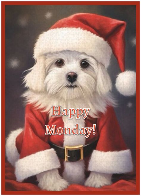 Happy Monday December, Monday Greetings, Monday Christmas, Monday Quotes, Holiday Humor, Christmas Is Coming, Happy Monday, Christmas Greetings, Monday Friday