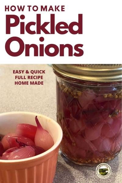 How to make pickled onion. Use pearl onions or sliced larger onions. Can be stored in refrigerator or canned. Canning instructions included. Use sweet pickled onions in meat dishes, as a condiment or in salads. #pickledpearlonion #pickledonions #pickles #condiments #onions Pickled Pearl Onions Recipe, Pickled Pearl Onions, Make Pickled Onions, Pearl Onions Recipe, Pearl Onion Recipe, Canning Instructions, Pickled Pears, Pickle Recipes Homemade, Pickled Onion