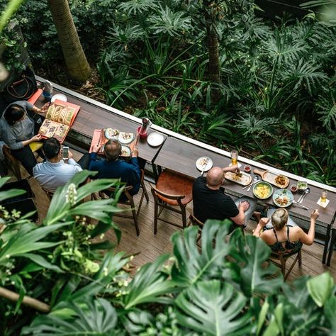 Share Your Favorite or Surprising Airport Amenity - The New York Times Forest Cafe, Restaurant Garden, Singapore Changi Airport, Changi Airport, Indoor Waterfall, Sunflower Garden, Forest View, Sky Garden, Green Building