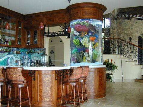 Hey that's MY kitchen! Minus the chairs... Unusual Fish, Unique Fish Tanks, Amazing Aquariums, Cool Fish Tanks, Unique Fish, Aquarium Terrarium, Aquarium Ideas, Home Aquarium, Aquarium Design