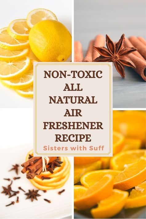 Organic Air Freshener, Homemade Air Freshener House Smells, Crockpot Air Freshener Recipes, Homemade Room Freshener, Frugal Challenge, Diy Air Freshner, Herbal Diy, Air Freshener Recipes, Air Refresher