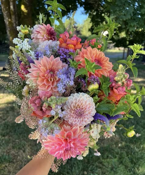 Mountain Mint, Acre Garden, Making Bouquets, Cut Flower Farm, Dahlia Bouquet, Flower Farmer, Colorful Bouquet, Cut Flower Garden, Hard Work Pays Off