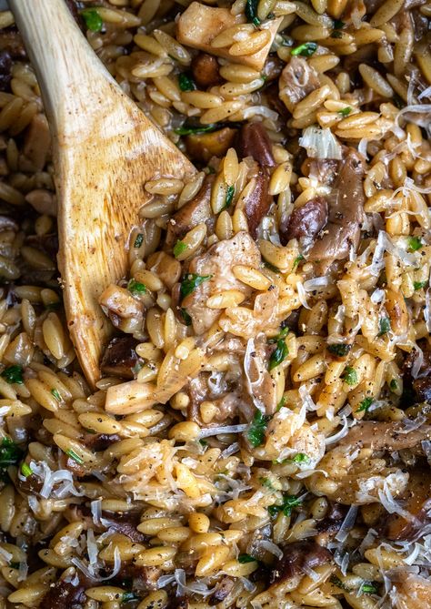 This One-Pot Mushroom Orzo recipe is a delicious and comforting meal using a handful of pantry staples - perfect for the whole family on a busy weeknight! Just as creamy and satisfying as a risotto with much less work – think of it as your mushroom orzotto! Orzo Mushroom, Creamy Orzo Recipes, Mushroom Orzo, Orzo Dishes, Orzo Recipe, Mushroom Casserole, Orzo Recipes, Vegan Pasta Recipes, Veggie Delight