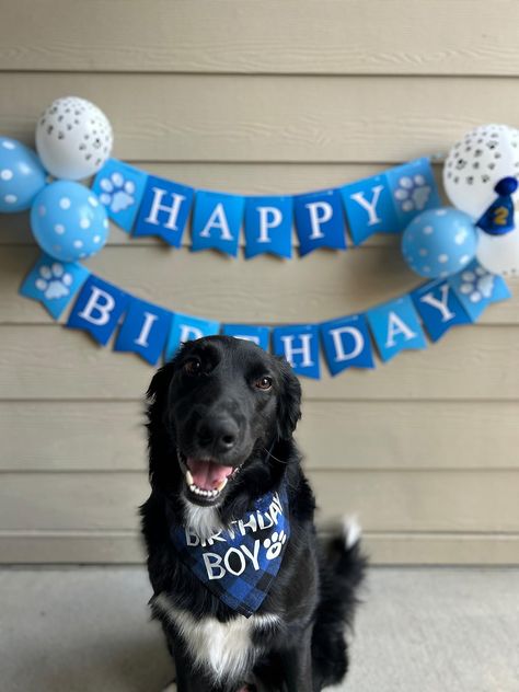 STMK Dog Birthday Party Supplies, Multi Sizes Dog Birthday Bandana Boy Dog Birthday Hat with Numbers Bow Tie Birthday Banner LETS PAWTY Balloons for Small Medium Dogs Pets (Small, Blue, NOT ALL ITEAM ARE SHOWN ON PICTURE BUT DO COME WITH EVERYTHING LISTED)

#dogmom#homefeed#explore#blue#birthdayboy#cute#puppy Lets Pawty, Dog Birthday Hat, Dog Birthday Party, Boy Dog, Birthday Hat, Cute Puppy, Dog Birthday, Random Pics, Medium Dogs