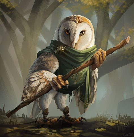 ArtStation - Barn Owl Monk, Rachel Denton Rachel Denton, Dungeons And Dragons Characters, Fantasy Art Landscapes, Fantasy Concept Art, Owl Art, Arte Fantasy, Barn Owl, Dnd Characters, Character Portraits