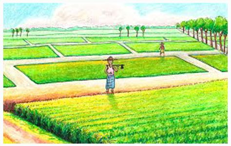 Easy paddy field scenery drawing. Image by- K art and craft Farmer Drawing Easy, Farmer Drawing, Farmer Painting, Make Drawing, Paddy Field, Easy Step By Step Drawing, Drawing Scenery, Scenery Drawing, Working Drawing