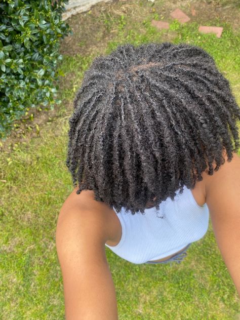 2024 Screensaver, Two Strand Twist Starter Locs, Twist Starter Locs, Short Dreadlocks, Dreadlocks Hair Care, Tapered Twa, Short Dreadlocks Styles, Natural Locs, Braided Dreadlocks