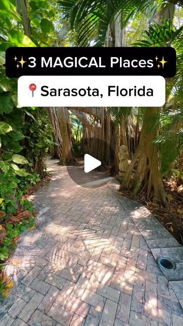 Kishia | Florida Travel ☀️🌴🥥🌺 on Instagram: "If you’ve never been to these 3 magical places in Sarasota, Florida, you need to save this so you dont forget to check them out! #florida #welivetoexplore #travel #hiddengems #floridatravel #roamflorida #visitflorida #floridalife #sarasota #museummoment #knowbeforeyougo #botanicalgarden #fairytale #magical #floridacheck #reels" Sarasota Florida Things To Do In, Florida Scenery, Florida Fall, Florida Travel Destinations, Ringling Museum, Road Trip Places, Places In Florida, Traveling Tips, Travel Inspiration Destinations