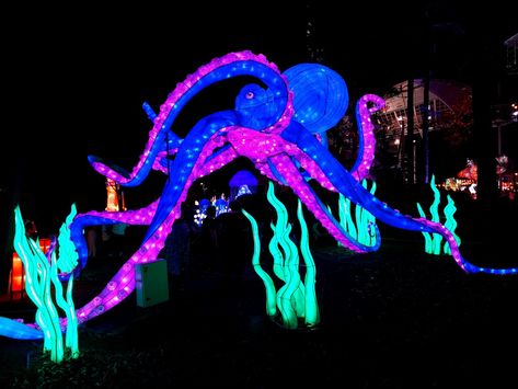 Lantern Sculpture, Octopus Project, Halloween Shark, Fools Paradise, Underwater Kingdom, Fish Lanterns, Winter Lights, Jellyfish Light, 3d Mapping